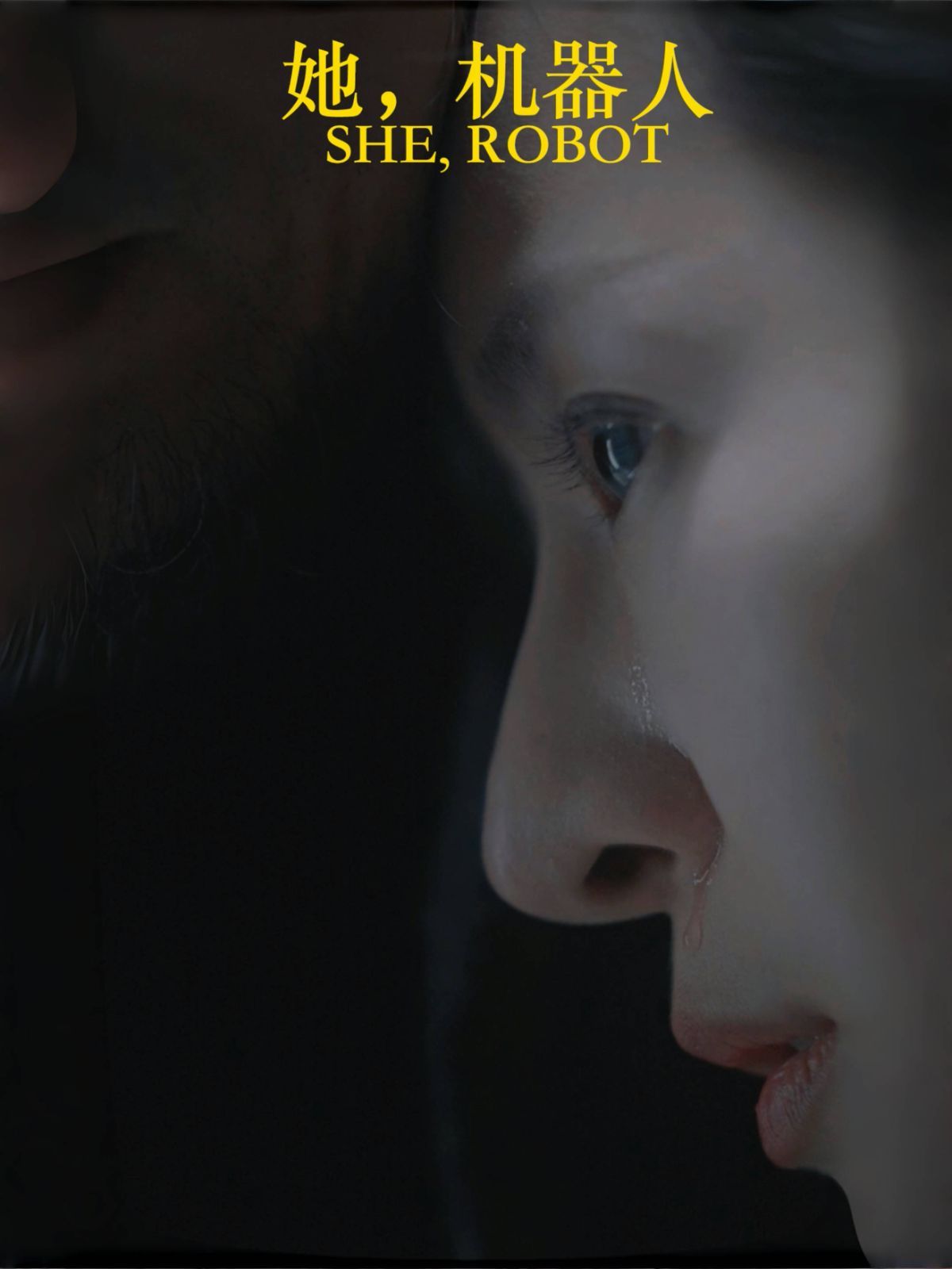 她，机器人（她机器人）封面图