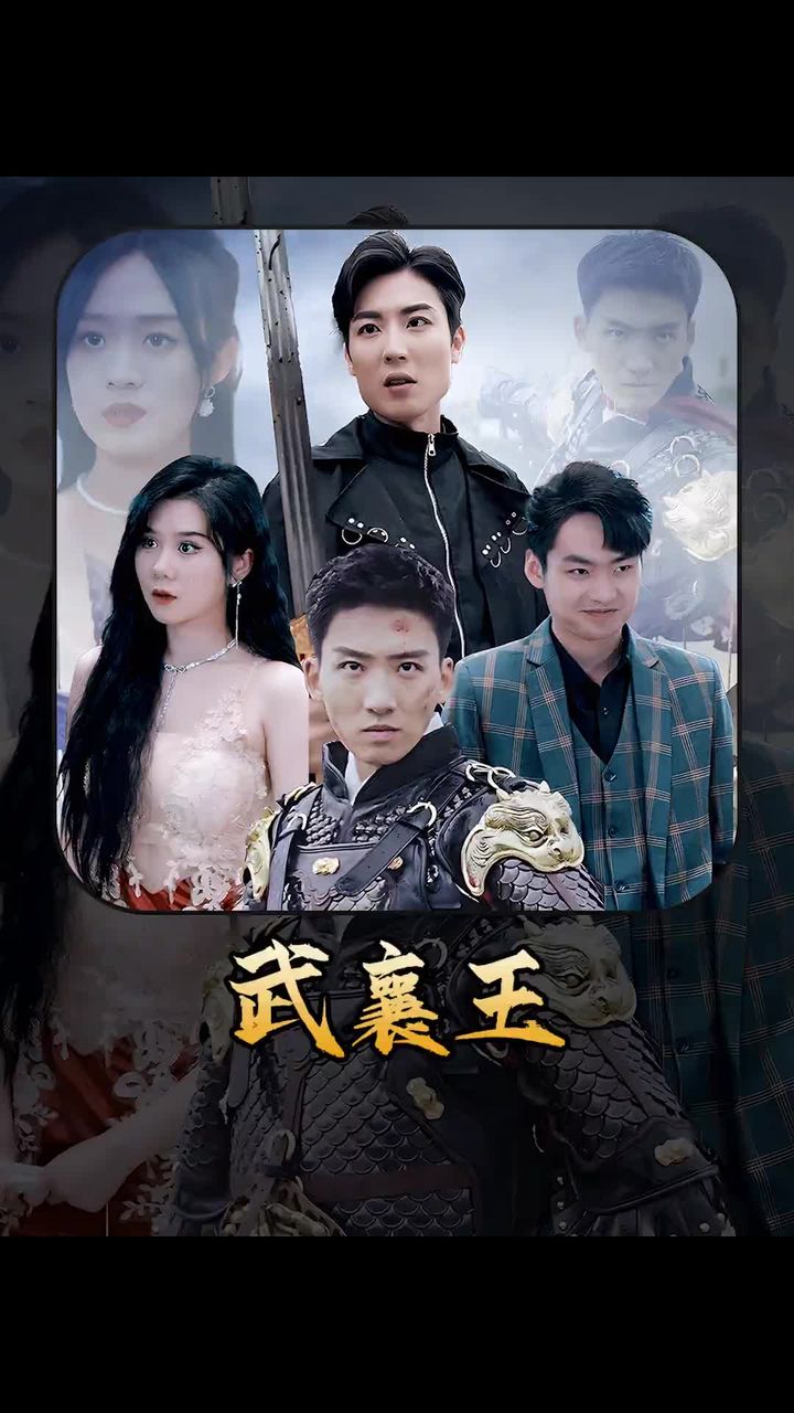 武襄王 真人剧海报
