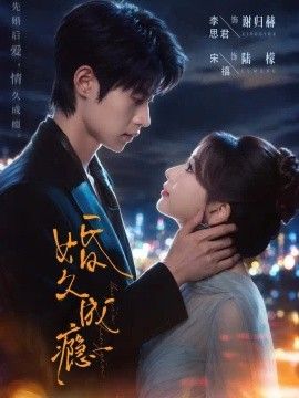 婚久成瘾封面图