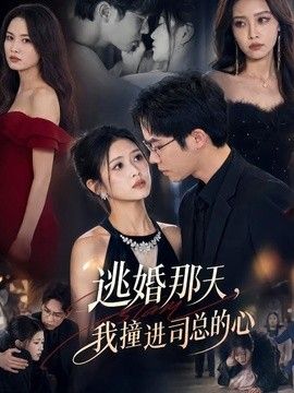 逃婚那天,我撞进司总的心