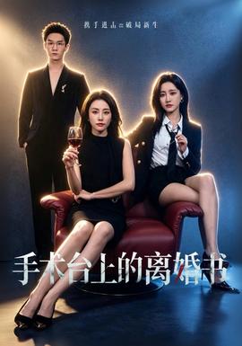 手术台上的离婚书封面图