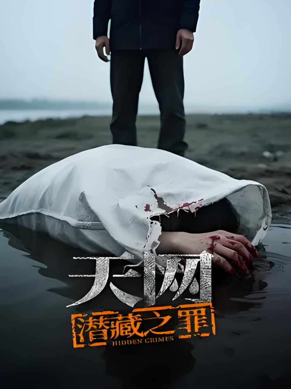 《天网：潜藏之罪》海报