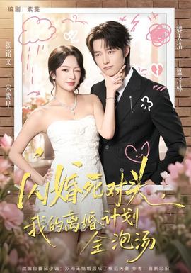 闪婚死对头，我的离婚计划全泡汤封面图