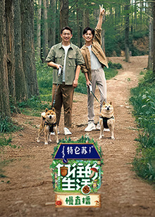 向往的生活 慢直播