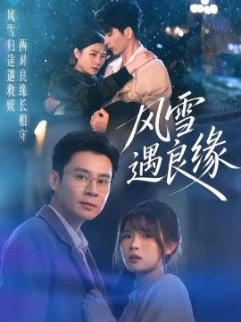 风雪遇良缘封面图