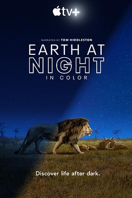 Earth at Night in Colour