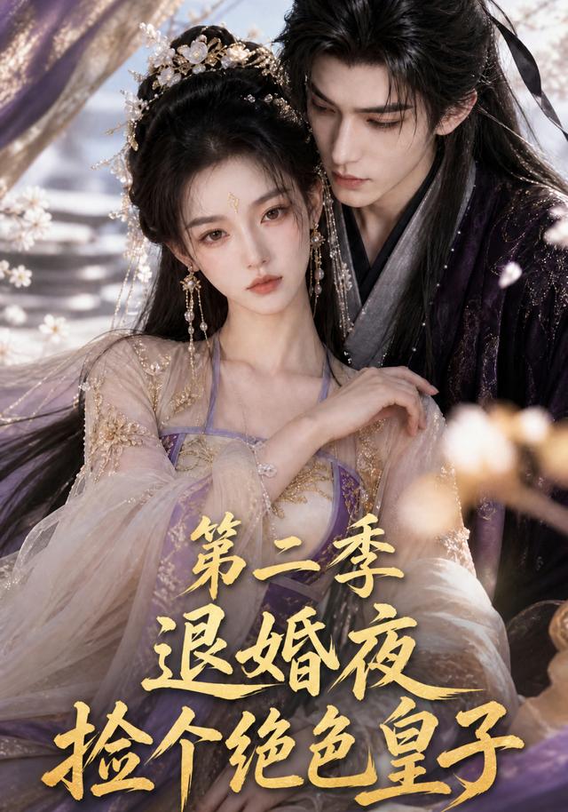 退婚夜捡个绝色皇子