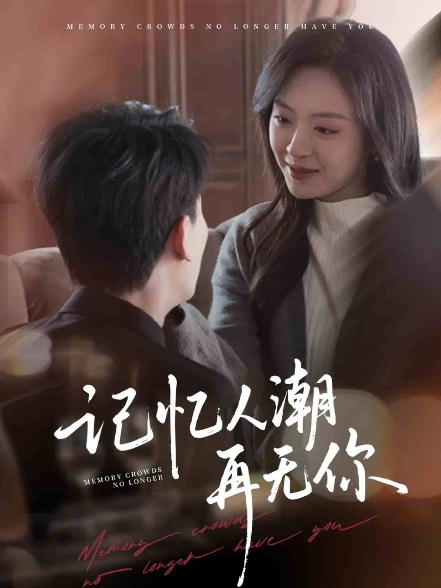 记忆人潮再无你