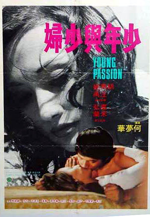 少年与少妇