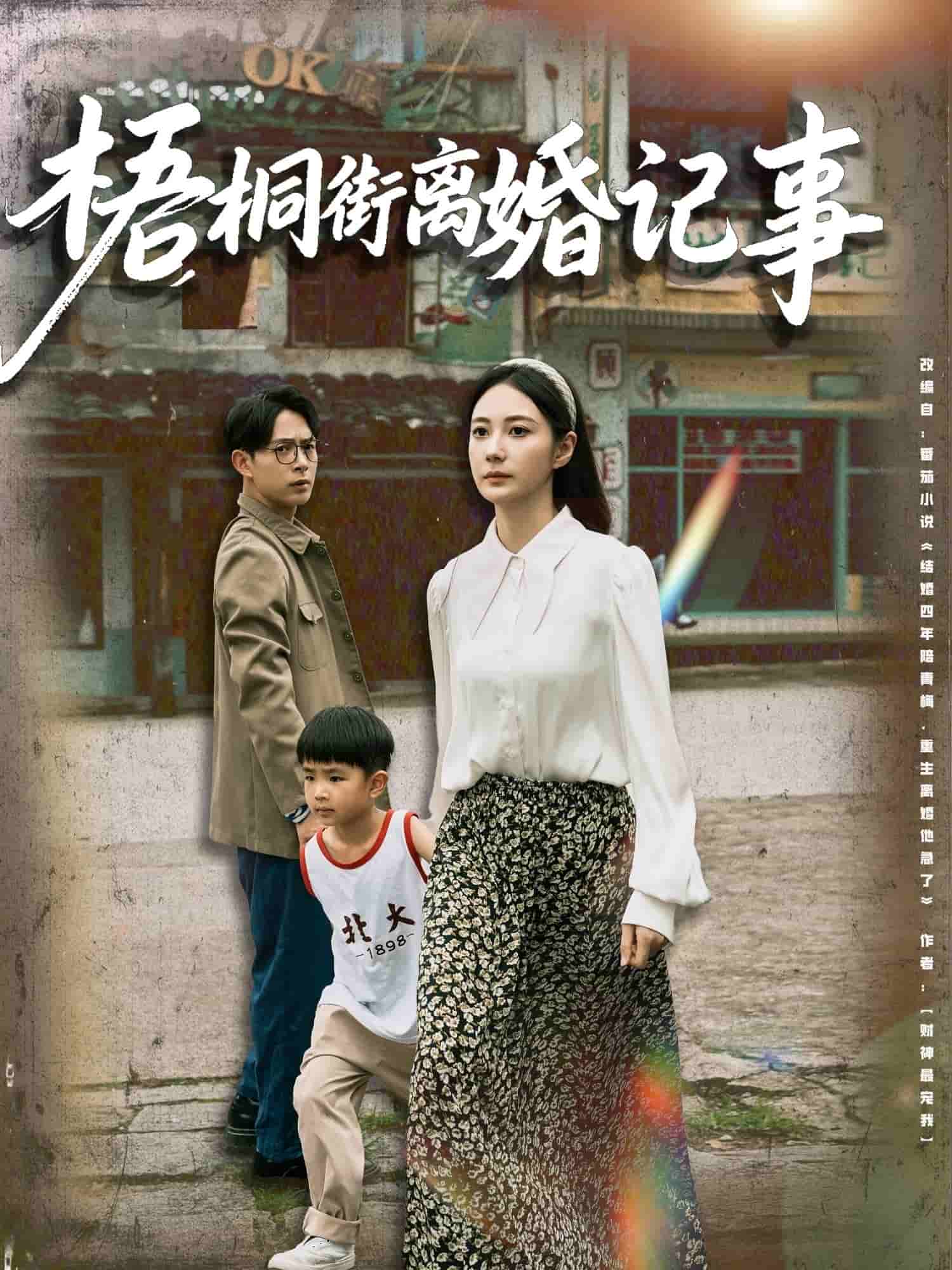 梧桐街离婚记事 海报