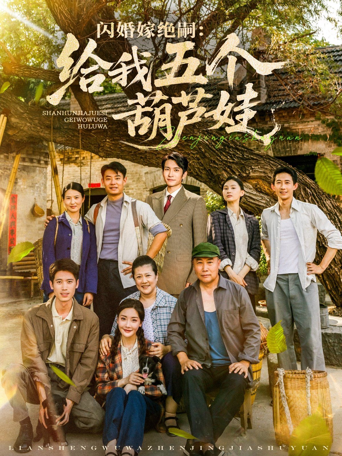 闪婚嫁绝嗣给我五个葫芦娃封面图