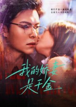 我的娇妻是千金 真人剧海报