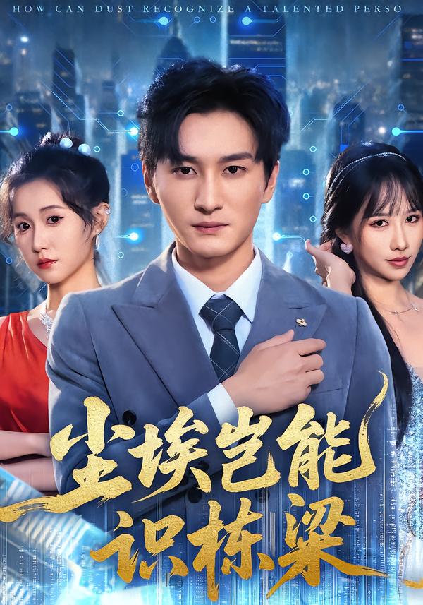 尘埃岂能识栋梁 真人剧海报