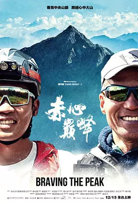 赤心巔峰 海报