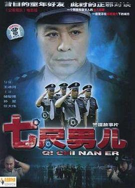 七尺男儿封面图