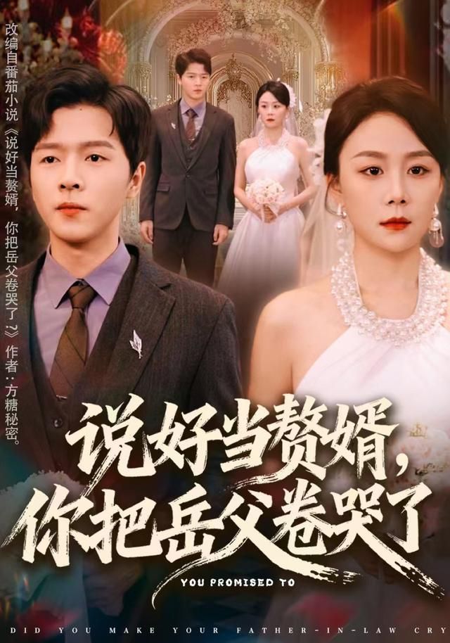 说好当赘婿，你把岳父卷哭了封面图