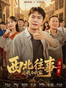 西北往事之我与我家封面图