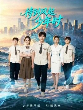 待到风起少年时封面图