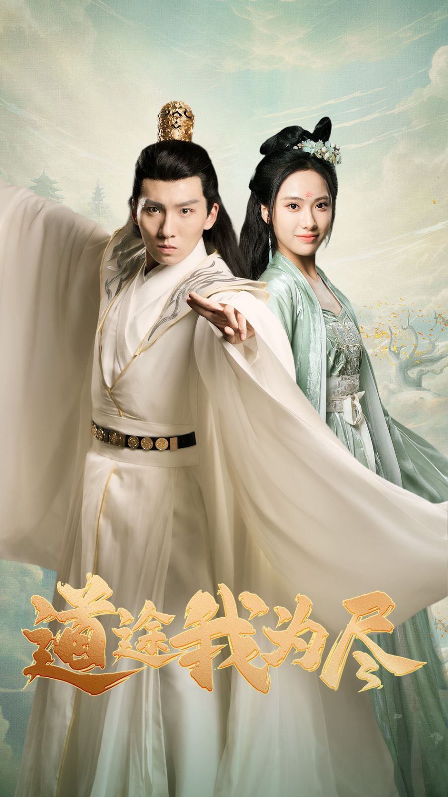 道途我为尽 海报