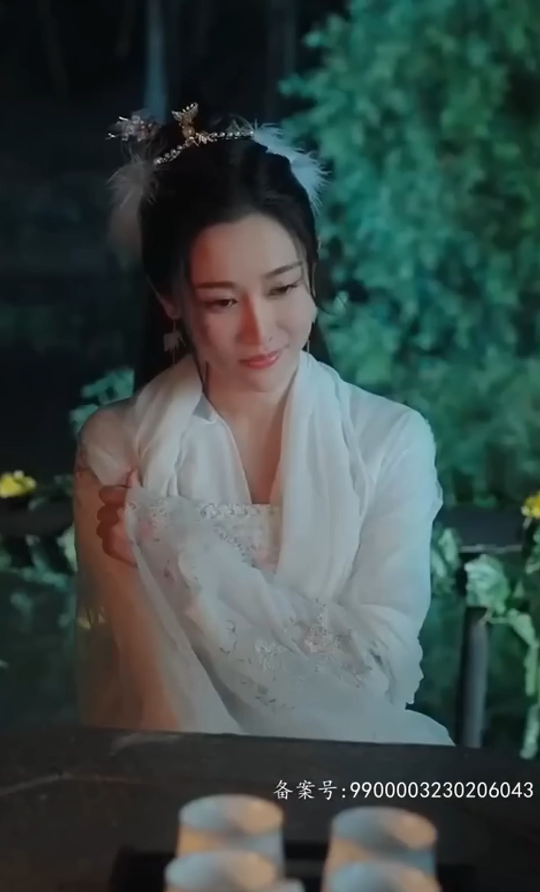 我的九尾狐老婆封面图