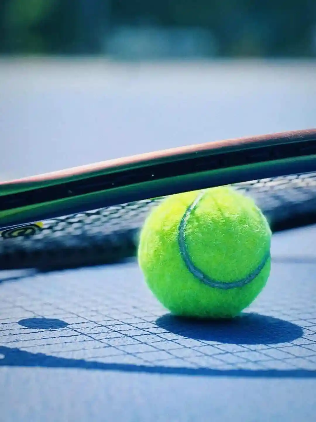 WTA250诺丁汉站女单第二轮：卡·普利斯科娃VS麦克纳莉封面图