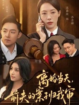 离婚当天，前夫的案子归我审封面图