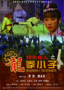 龙拳小子