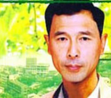 夏季无风封面图