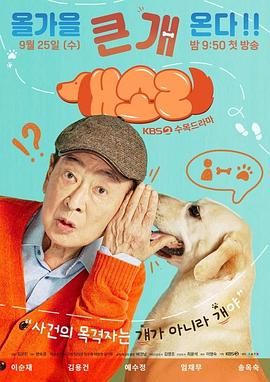 狗之声封面图