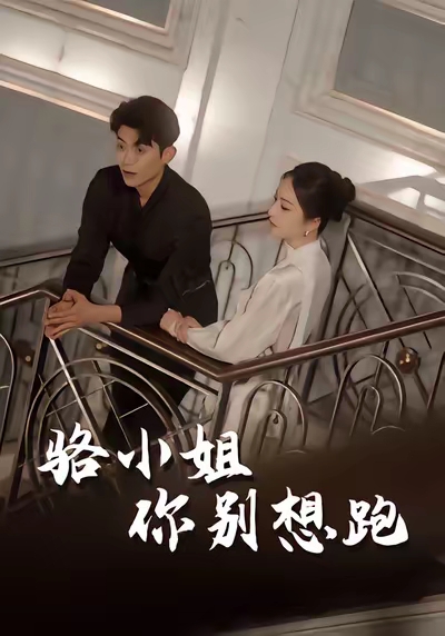 骆小姐你别想跑 真人剧海报