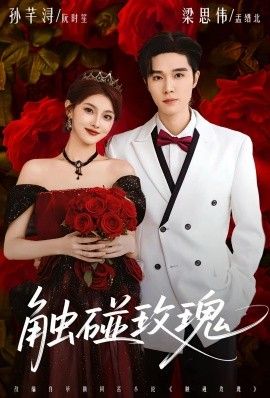 触碰玫瑰（凌晨四点半，玫瑰花未眠）封面图
