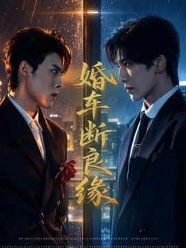 婚车断良缘封面图