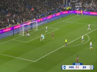 英超联赛 布莱顿VS曼城 20241110