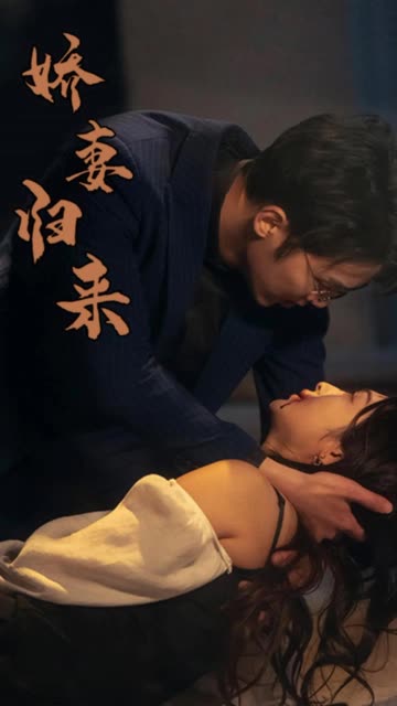 娇妻归来 真人剧海报