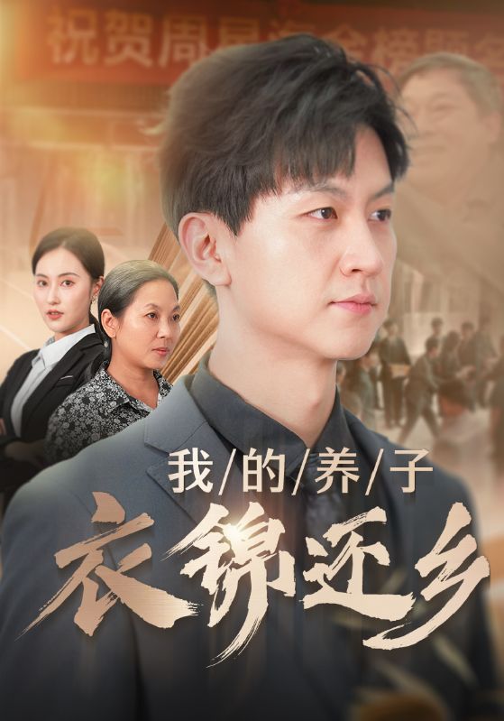 我的养子衣锦还乡 海报