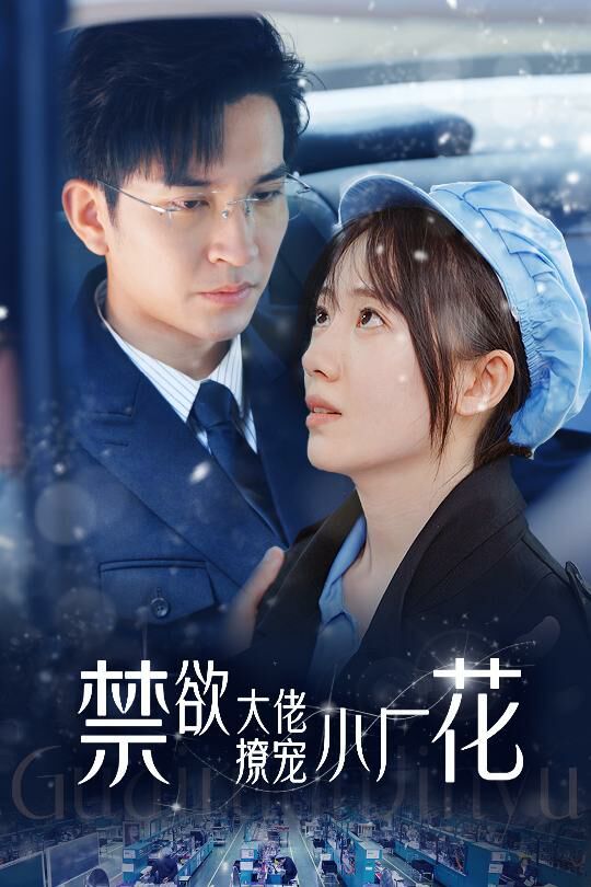 禁欲大佬撩宠小厂花(小可怜靠生子宠冠电子厂)