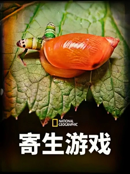 寄生游戏 英文版