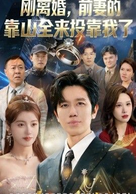 离婚，前妻的靠山全来投靠我了