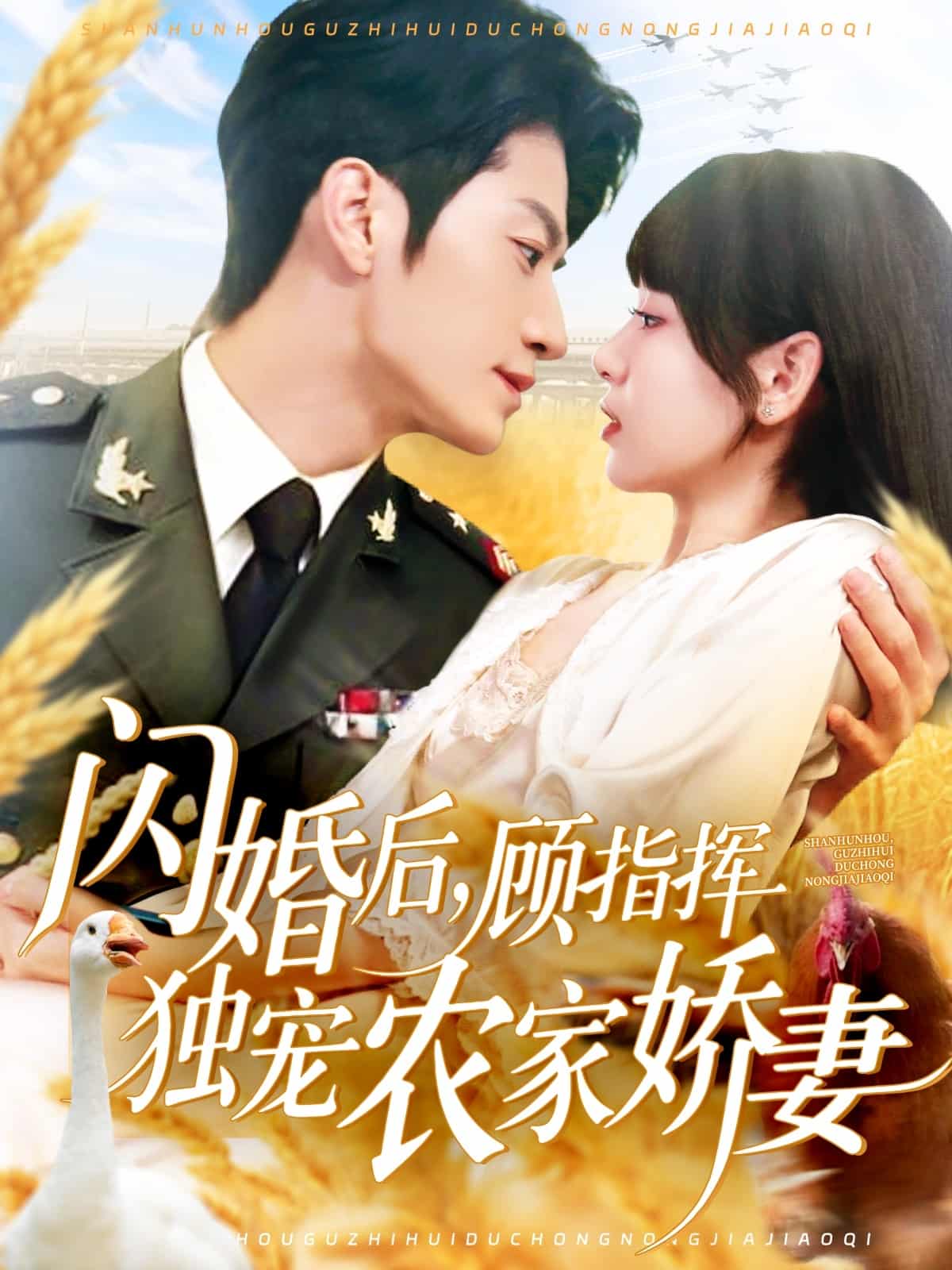 闪婚后顾指挥独宠农家娇妻