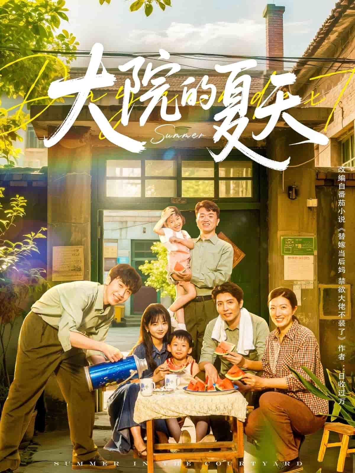 大院的夏天 海报
