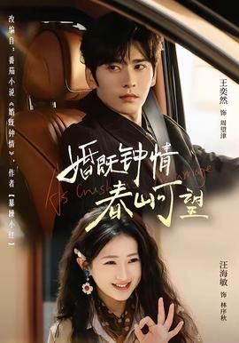 婚既钟情，春山可望 真人剧海报