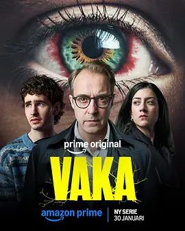 Vaka封面图