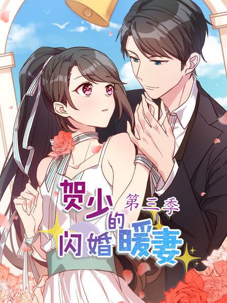 贺少的闪婚暖妻