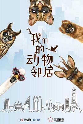 我们的动物邻居粤语 海报