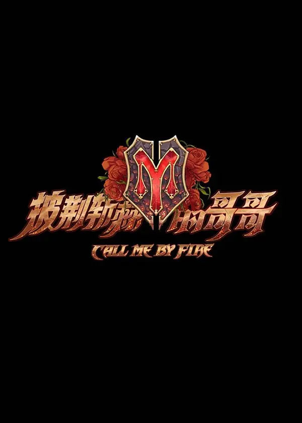 披荆斩棘的哥哥 海报