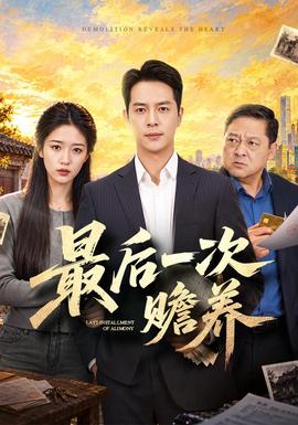 最后一次赡养封面图