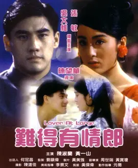 难得有情郎1991