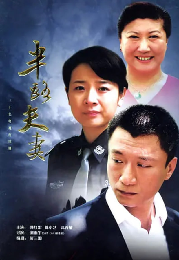 半路夫妻封面图