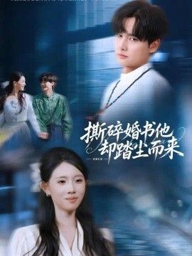 撕碎婚书他却踏尘而来封面图