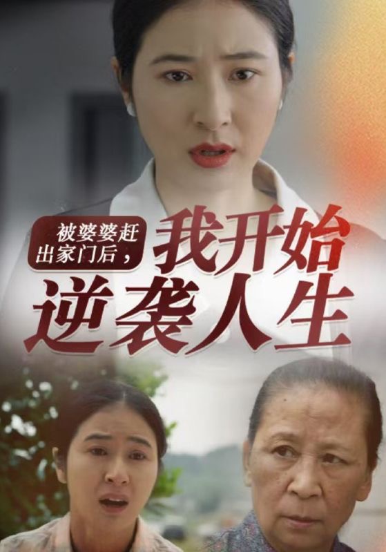 《被婆婆赶出家门后我开始逆袭人生》海报
